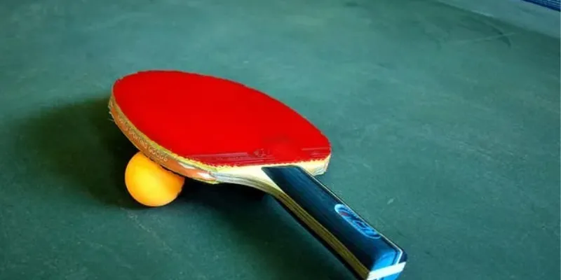 Tìm hiểu các hình thức kèo cược bóng bàn thông dụng