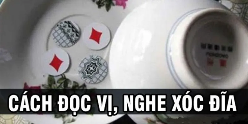 Tìm hiểu các thông tin về nghe vị xóc đĩa