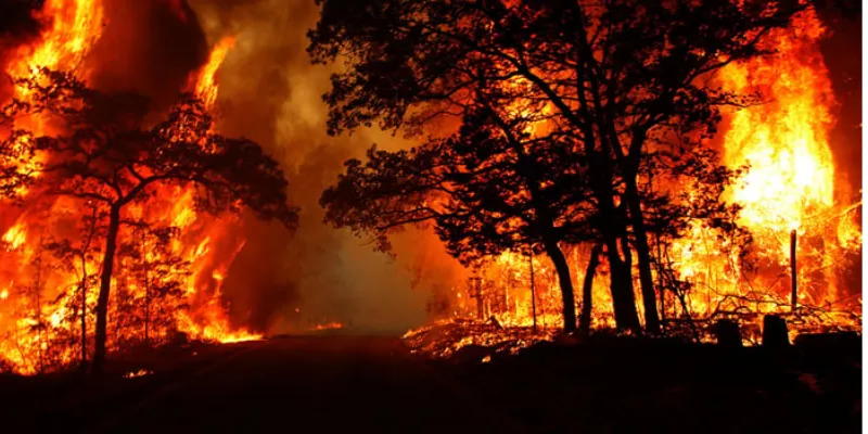 Giải mã điềm báo đằng sau giấc mơ nằm mơ thấy lửa