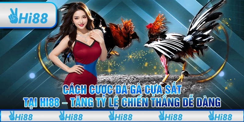 Cá cược đá gà cựa sắt tại Hi88 – Tăng tỷ lệ chiến thắng dễ dàng