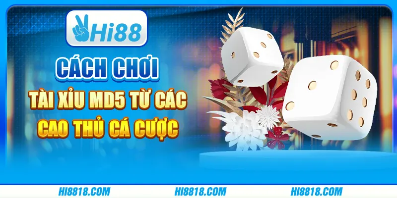 Hướng dẫn cách chơi Tài Xỉu MD5 từ các cao thủ cá cược