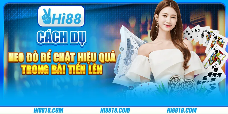 Cách dụ heo đỏ để chặt đơn giản mà ai cũng làm được