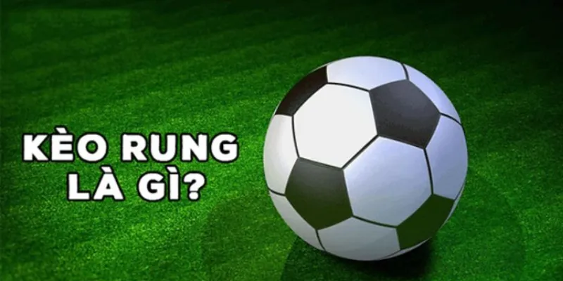 Tìm hiểu khái niệm và cơ chế hoạt động của kèo rung