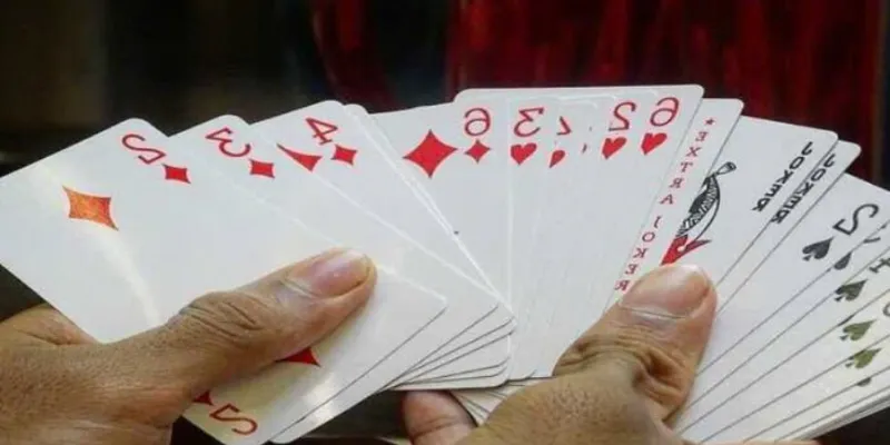 Cách dụ heo đỏ để chặt bài hiệu quả