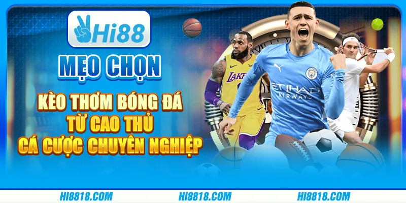 Mẹo chọn kèo thơm bóng đá từ cao thủ cá cược chuyên nghiệp