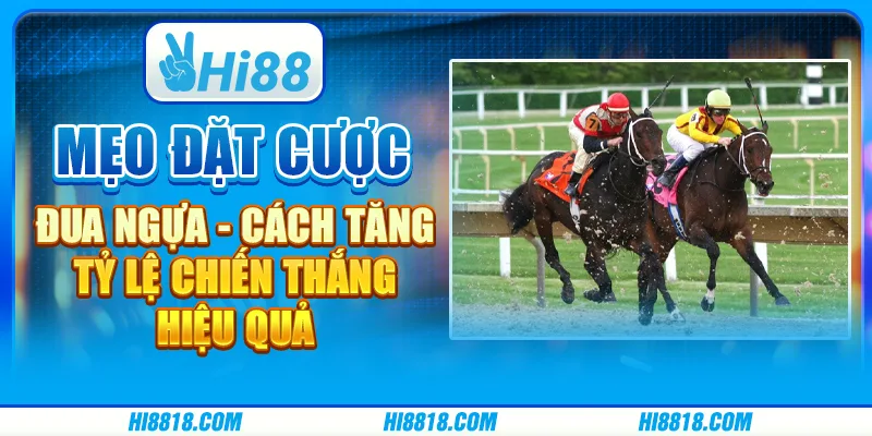 Mẹo đặt cược đua ngựa - Cách tăng tỷ lệ chiến thắng hiệu quả
