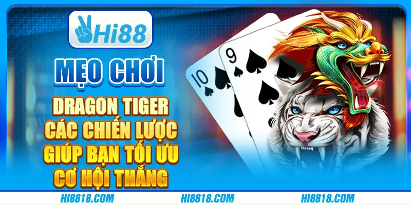 Mẹo chơi Dragon Tiger - Các chiến lược giúp bạn tối ưu cơ hội thắng