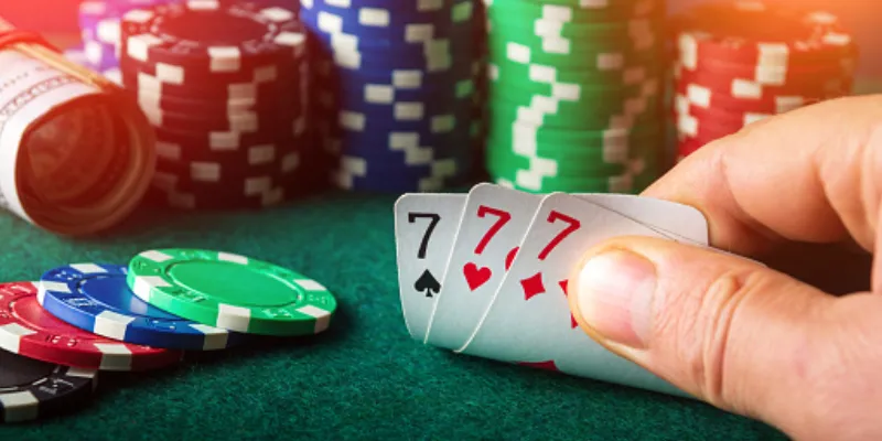 Hướng dẫn cách chơi catte dễ thắng cho tân binh