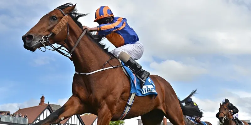 Các loại cược đua ngựa phổ biến