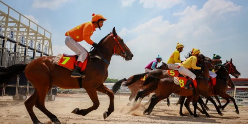 Một số yếu tố then chốt cần xem xét khi đặt cược đua ngựa
