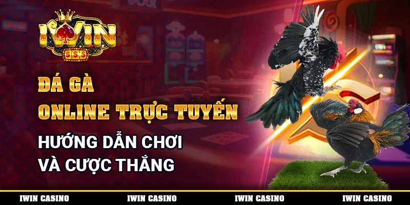 Đá Gà Online Trực Tuyến - Hướng Dẫn Chơi Và Cược Thắng